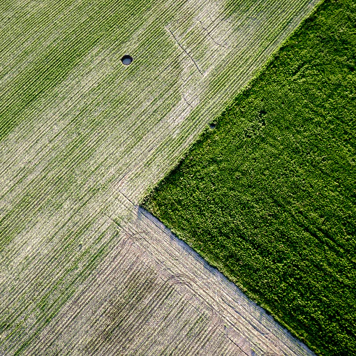 Quality Control Laboratory Image